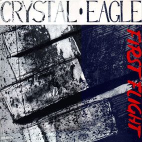 Sleeve of First Flight by Crystal Eagle